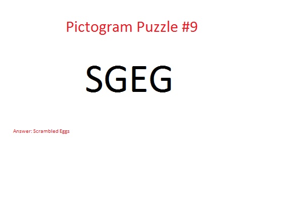 Pictogram Puzzle #9