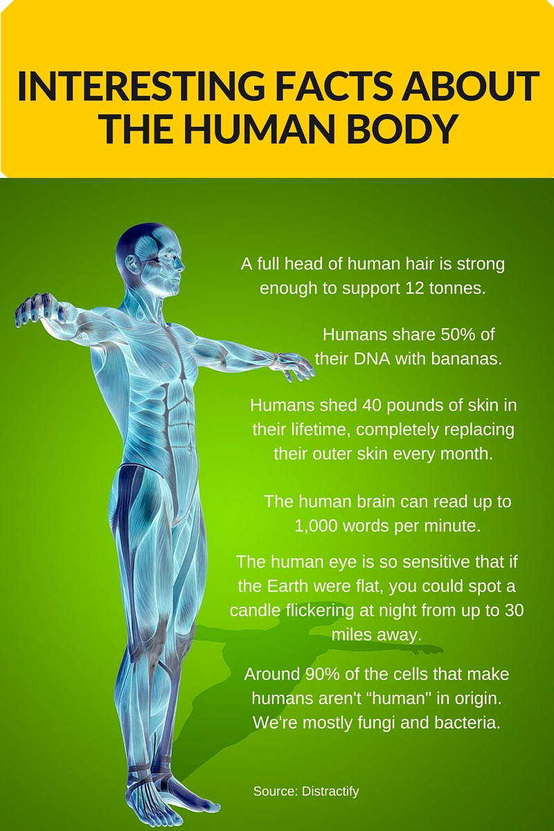 interesting facts about the human body (1)
