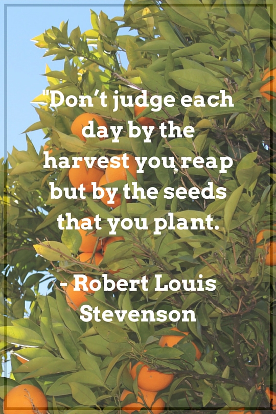A Quote from Robert Louis Stevenson