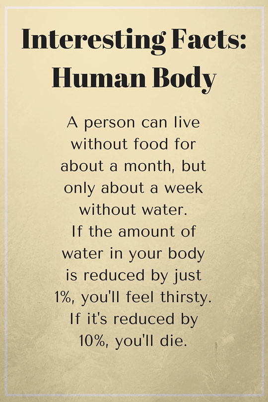 Interesting Facts Human Body