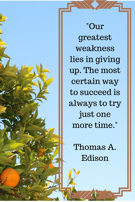 Thomas Edison Quote