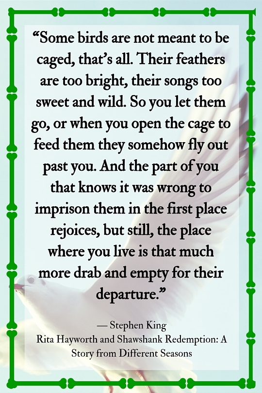 Stephen King Quote