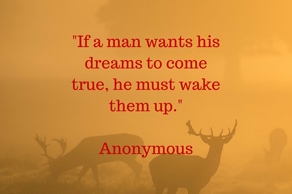 Dream quote