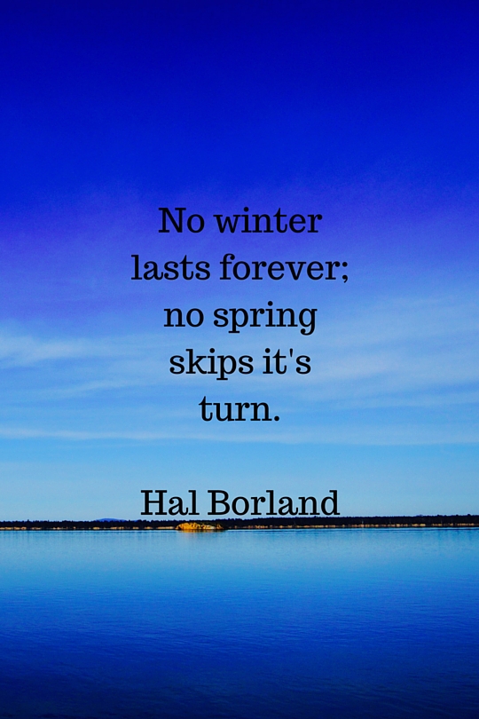 Hal Borland Quote