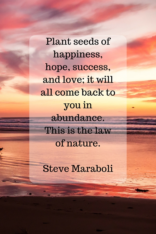 Steve Maraboli Quote