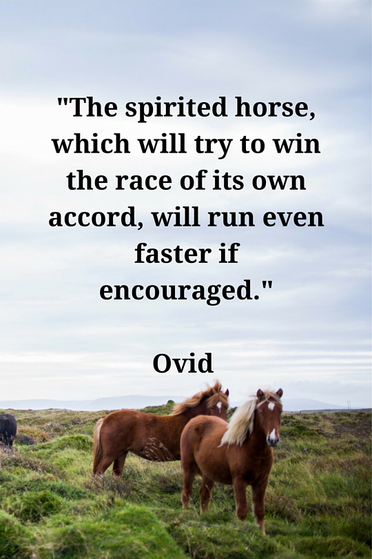 Spirited Horse