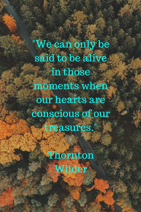 Thornton Wilder Quote