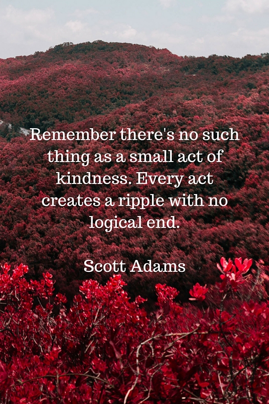 Small Acts of Kindness Matters