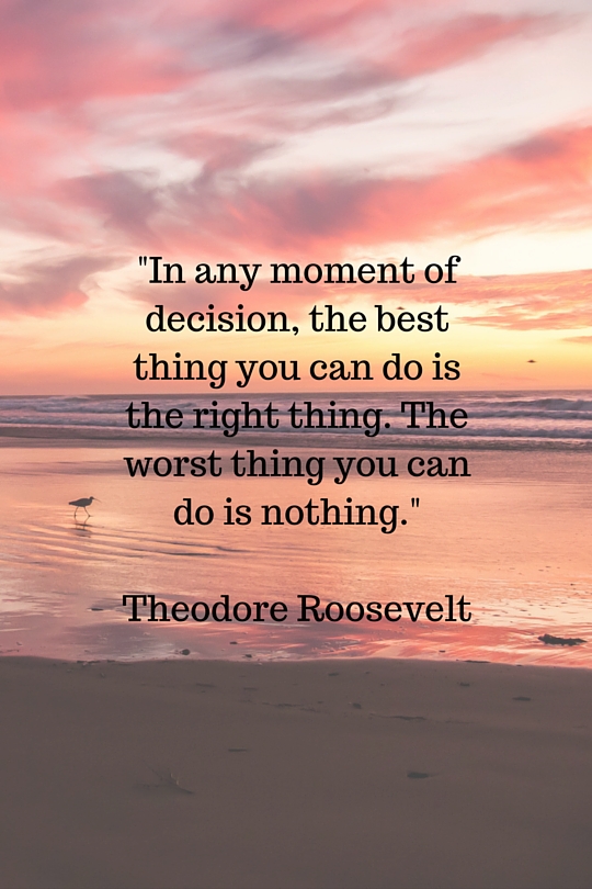 Teddy Roosevelt quote