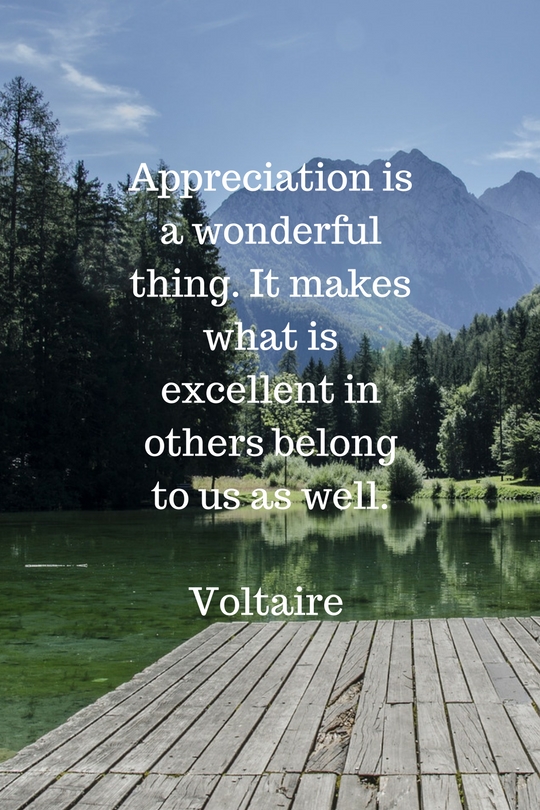 voltaire quote
