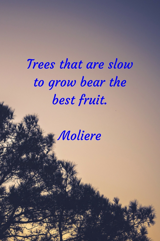 moliere quote