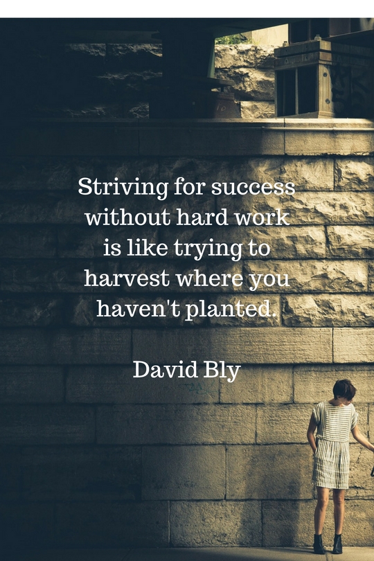 david bly