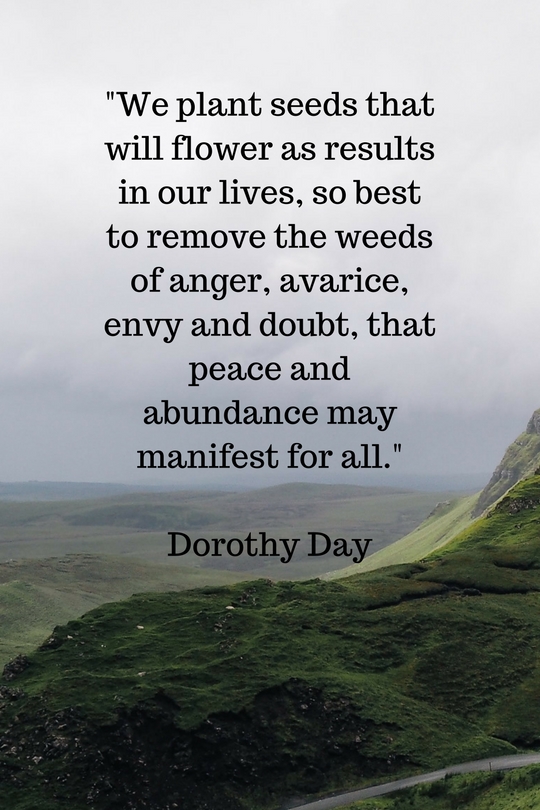 dorothy day quote
