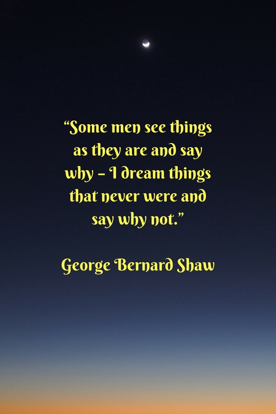 george bernard shaw