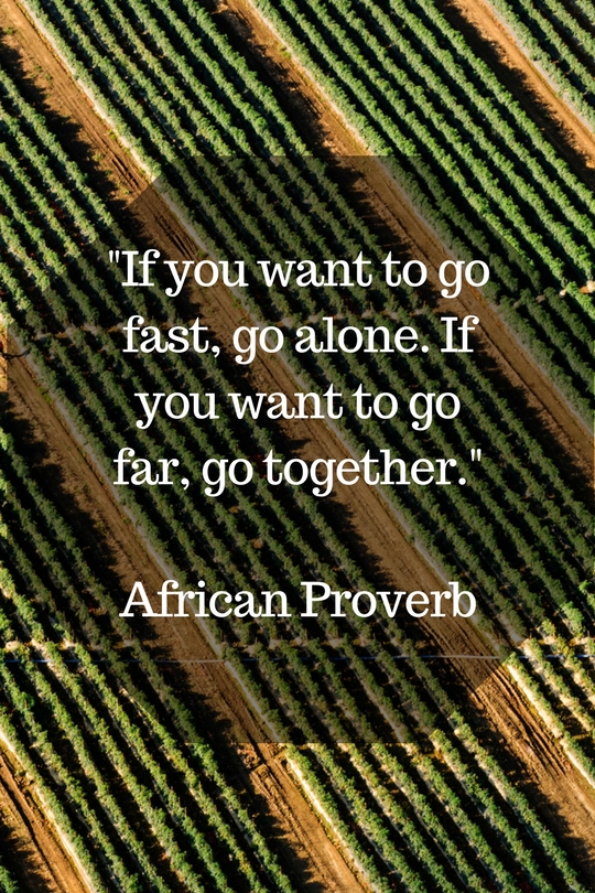 african proverb