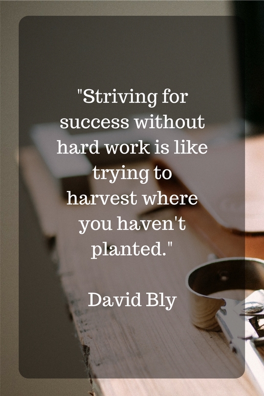 david bly